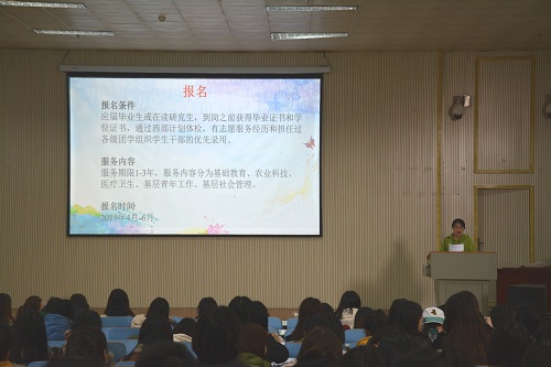 beat365平台官方网站召开2019届毕业生就业指导会